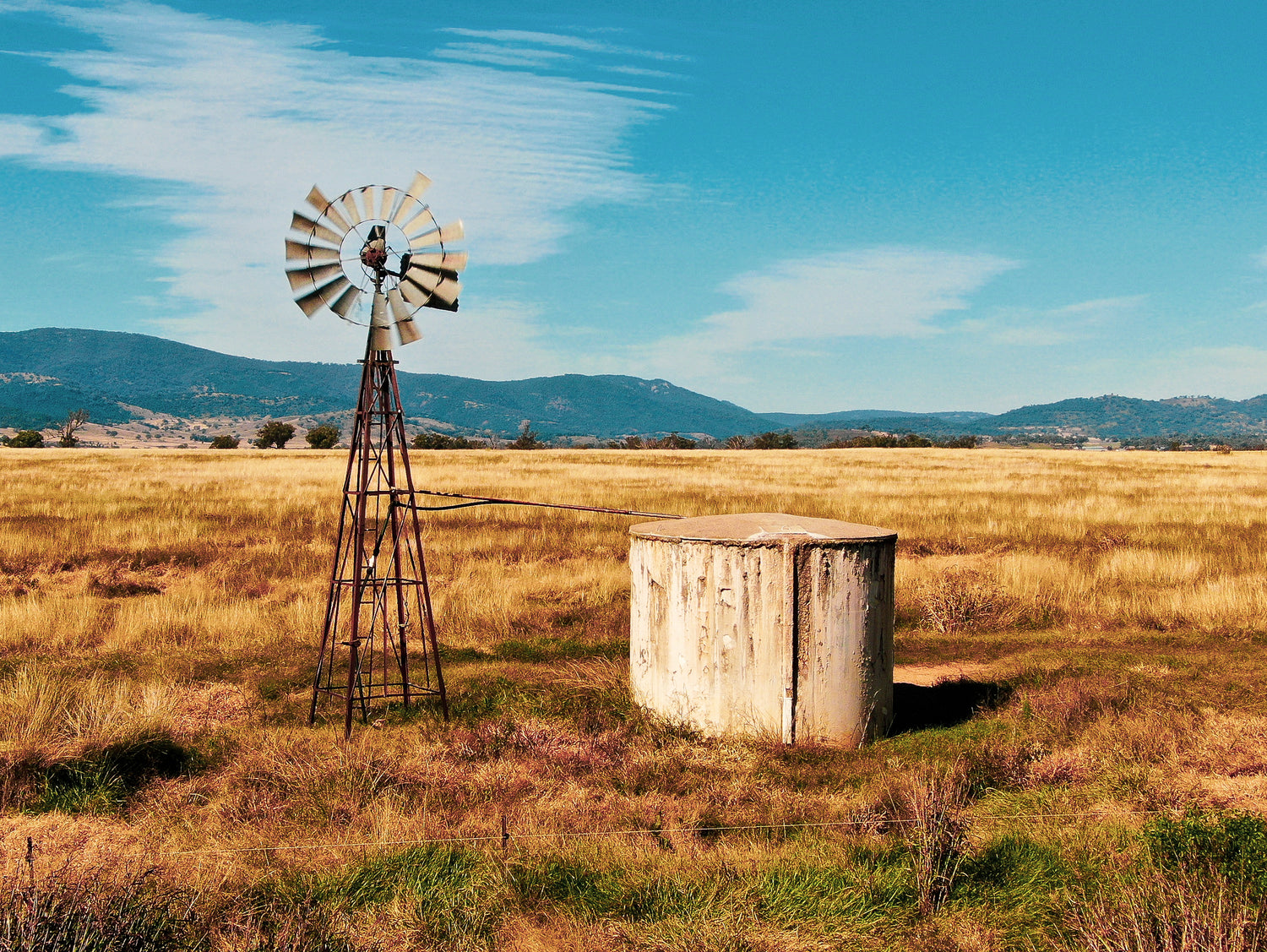 The Tamworth Distillery Collection